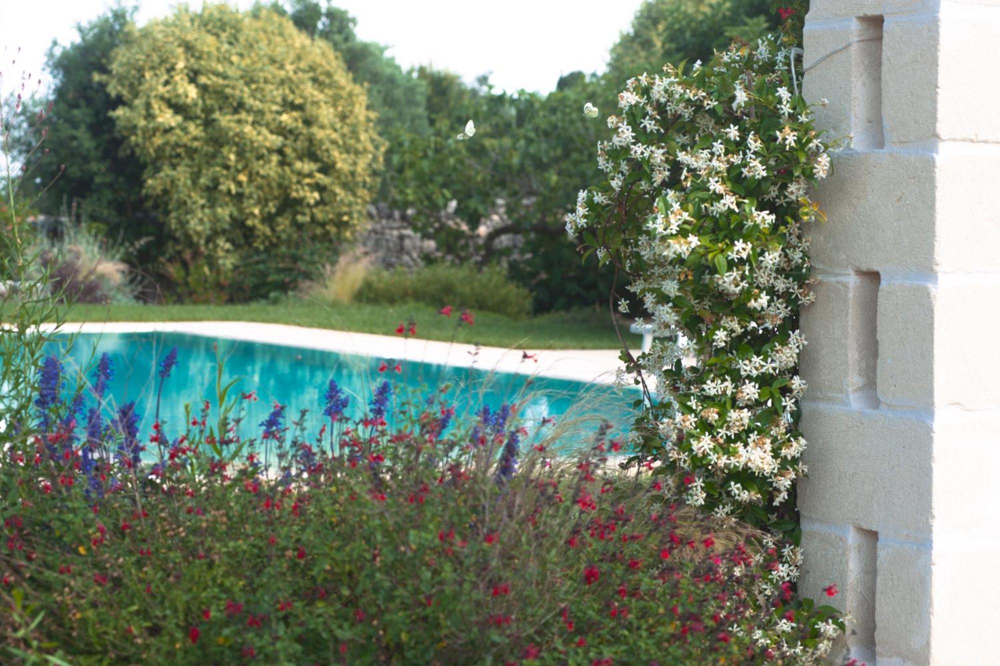 Agriturismo Masseria Calongo Cisternino Exterior foto